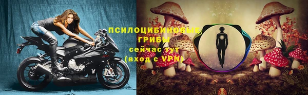 стаф Михайловск