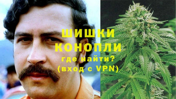 стаф Михайловск