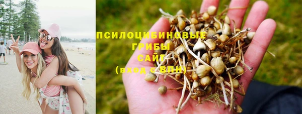 прущий лед Михайловка