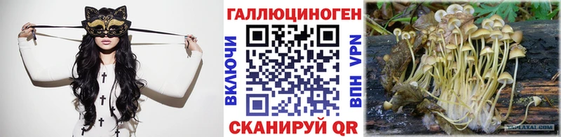 Галлюциногенные грибы Cubensis  где найти   Полярные Зори 